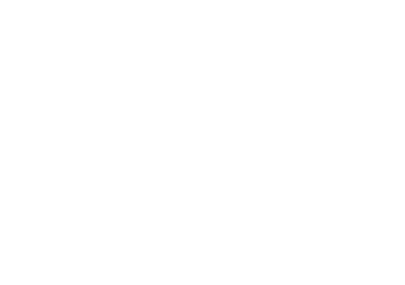 Leapmotor