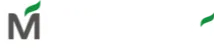 Grupo Marajó